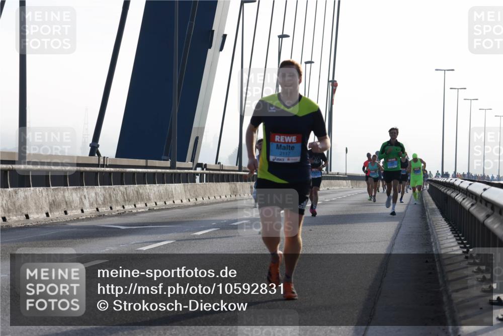 03.10.2026 - Köhlbrandbrückenlauf Strokosch-Dieckow http://msf.ph/oto/10592831 03.10.2026 09:19:00 Position 1 2117 meine-sportfotos.de
