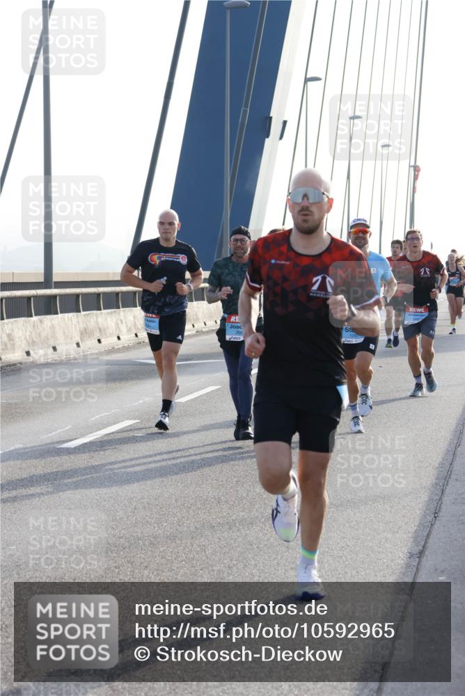 03.10.2026 - Köhlbrandbrückenlauf Strokosch-Dieckow http://msf.ph/oto/10592965 03.10.2026 09:19:26 Position 1 206, 1260 meine-sportfotos.de