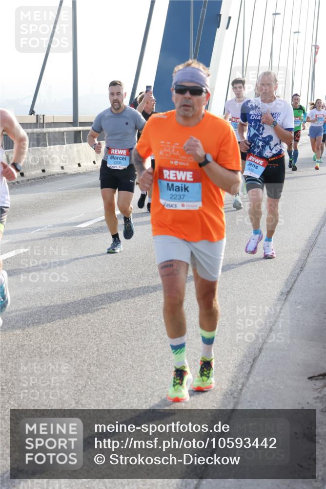 03.10.2026 - Köhlbrandbrückenlauf Strokosch-Dieckow http://msf.ph/oto/10593442 03.10.2026 09:20:27 Position 1 2206, 2237, 1545 meine-sportfotos.de