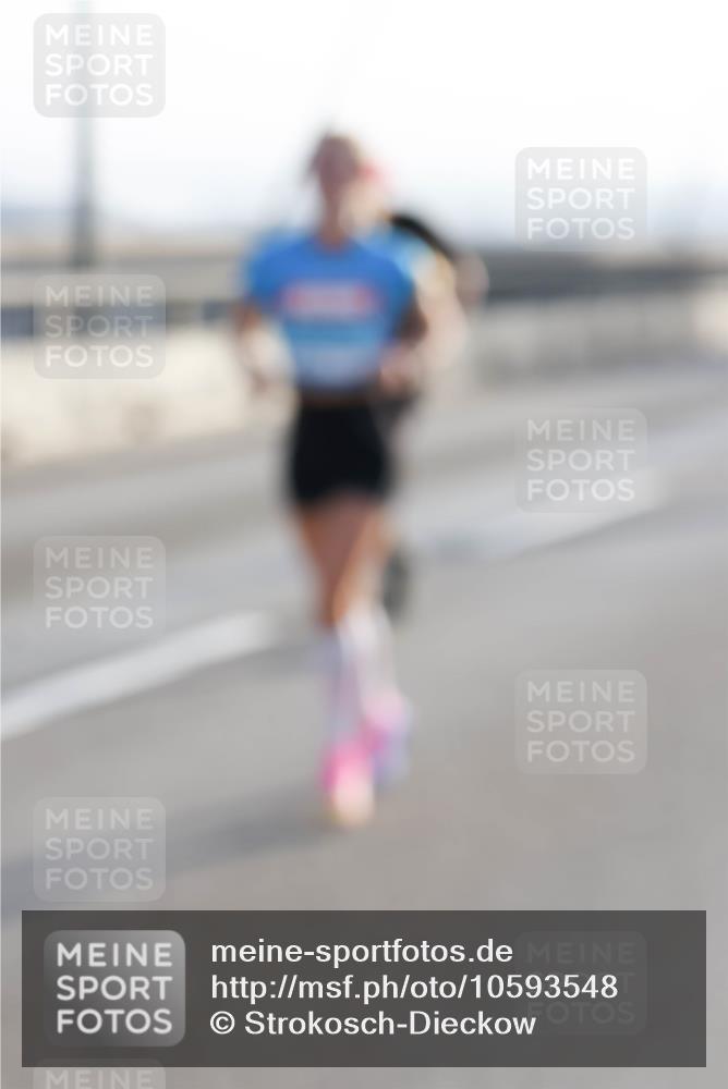 03.10.2026 - Köhlbrandbrückenlauf Strokosch-Dieckow http://msf.ph/oto/10593548 03.10.2026 09:20:46 Position 1  meine-sportfotos.de