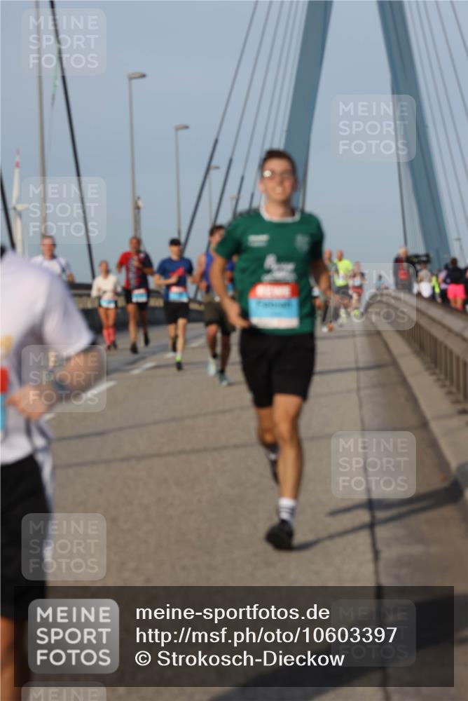03.10.2026 - Köhlbrandbrückenlauf Strokosch-Dieckow http://msf.ph/oto/10603397 03.10.2026 09:39:42 Position 2  meine-sportfotos.de