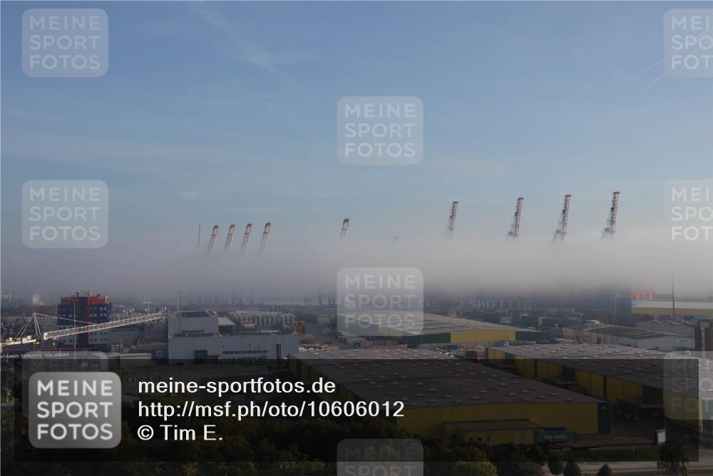 03.10.2026 - Köhlbrandbrückenlauf Tim E. http://msf.ph/oto/10606012 03.10.2026 09:07:56 Position 1  meine-sportfotos.de