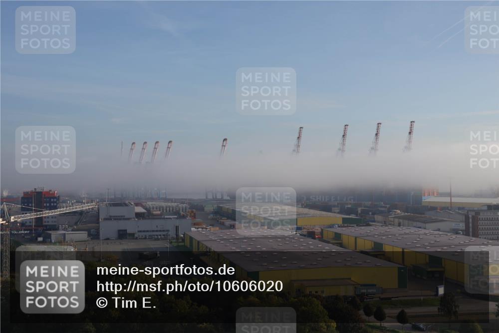 03.10.2026 - Köhlbrandbrückenlauf Tim E. http://msf.ph/oto/10606020 03.10.2026 09:08:15 Position 1  meine-sportfotos.de
