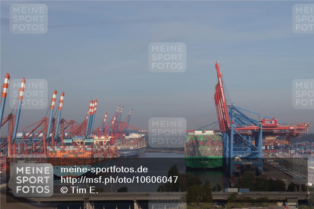 03.10.2026 - Köhlbrandbrückenlauf Tim E. http://msf.ph/oto/10606047 03.10.2026 09:08:33 Position 1  meine-sportfotos.de