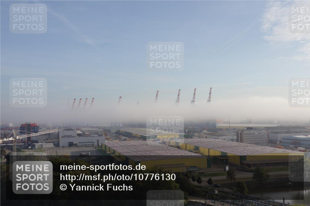 03.10.2026 - Köhlbrandbrückenlauf Yannick Fuchs http://msf.ph/oto/10776130 03.10.2026 09:07:52 Position 1  meine-sportfotos.de
