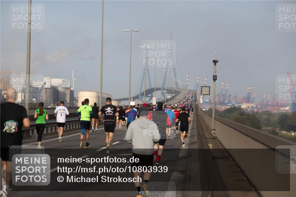 03.10.2026 - Köhlbrandbrückenlauf Michael Strokosch http://msf.ph/oto/10803939 03.10.2026 09:19:12 Position 3 42, 195 meine-sportfotos.de