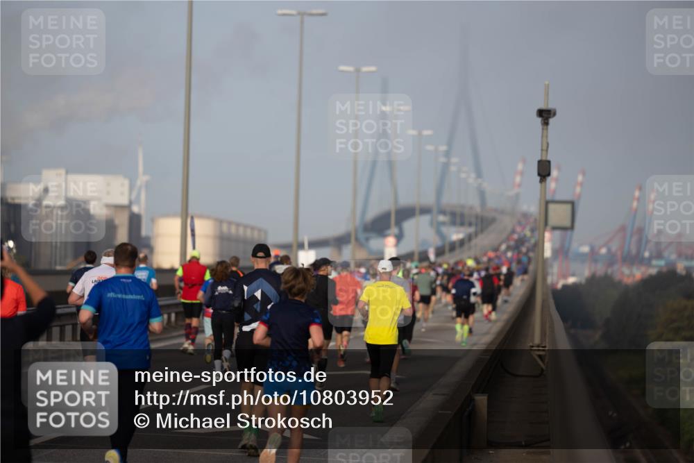 03.10.2026 - Köhlbrandbrückenlauf Michael Strokosch http://msf.ph/oto/10803952 03.10.2026 09:19:35 Position 3  meine-sportfotos.de