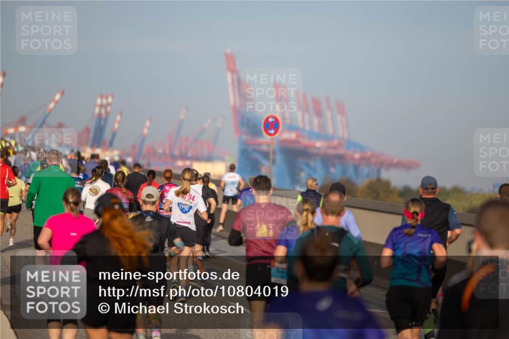 03.10.2026 - Köhlbrandbrückenlauf Michael Strokosch http://msf.ph/oto/10804019 03.10.2026 09:24:24 Position 3 94 meine-sportfotos.de