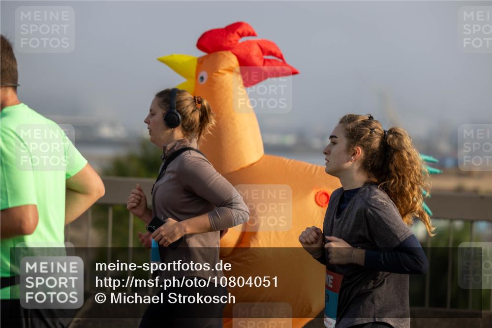 03.10.2026 - Köhlbrandbrückenlauf Michael Strokosch http://msf.ph/oto/10804051 03.10.2026 09:28:00 Position 3  meine-sportfotos.de