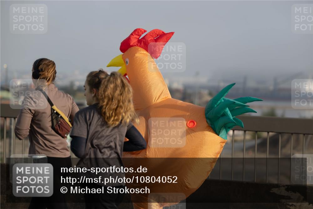 03.10.2026 - Köhlbrandbrückenlauf Michael Strokosch http://msf.ph/oto/10804052 03.10.2026 09:28:01 Position 3  meine-sportfotos.de