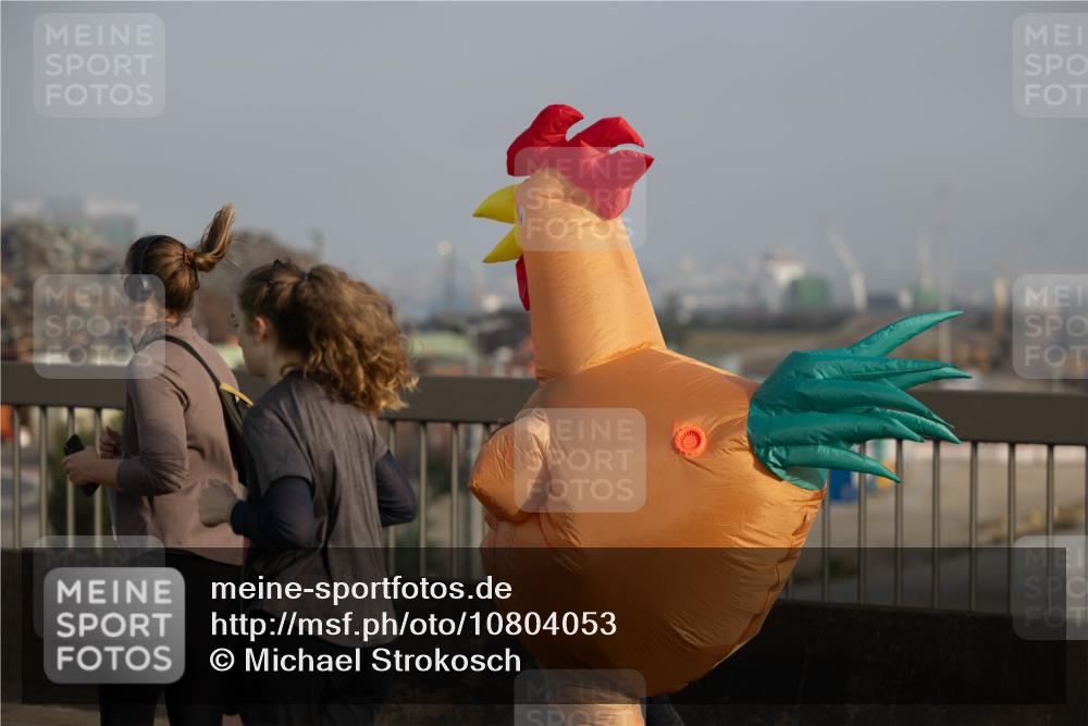 03.10.2026 - Köhlbrandbrückenlauf Michael Strokosch http://msf.ph/oto/10804053 03.10.2026 09:28:02 Position 3  meine-sportfotos.de