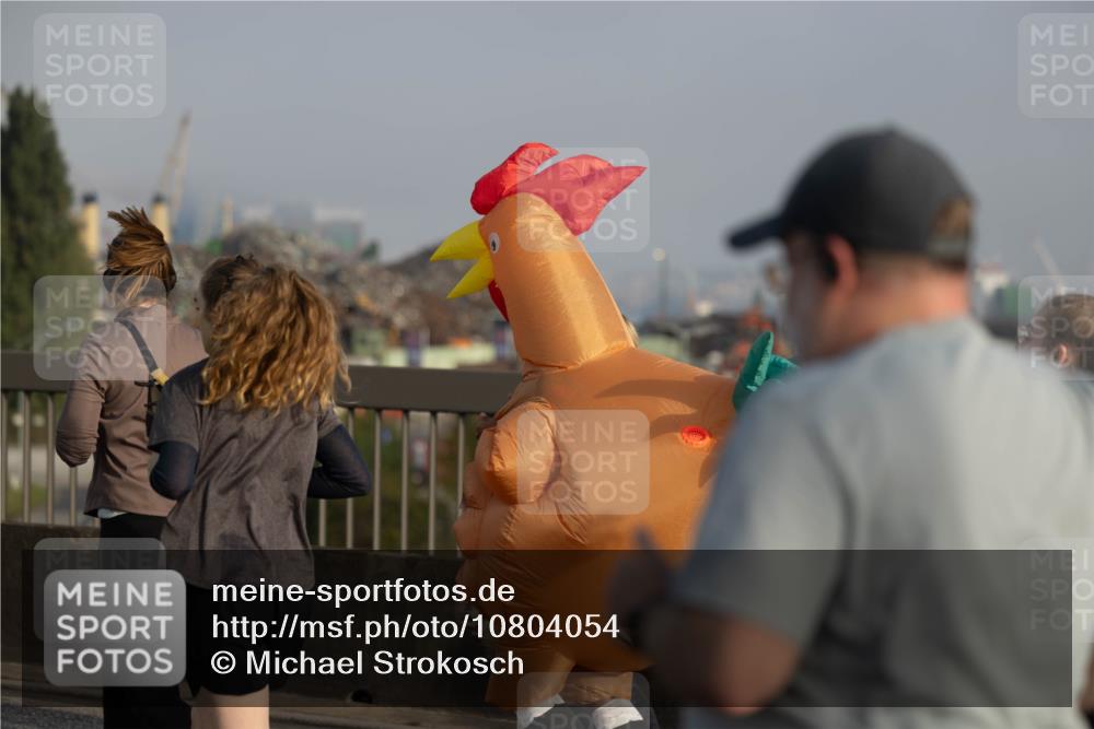 03.10.2026 - Köhlbrandbrückenlauf Michael Strokosch http://msf.ph/oto/10804054 03.10.2026 09:28:02 Position 3  meine-sportfotos.de