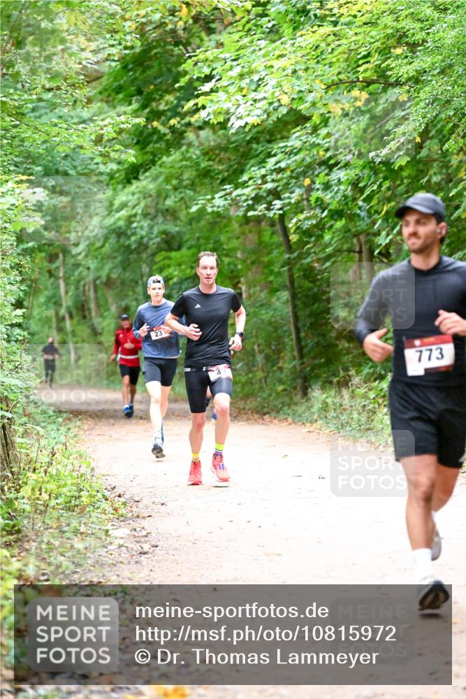 11.10.2026 - Bramfelder Halbmarathon 2026 Dr. Thomas Lammeyer http://msf.ph/oto/10815972 11.10.2026 09:50:37 Laufen 23, 773 meine-sportfotos.de