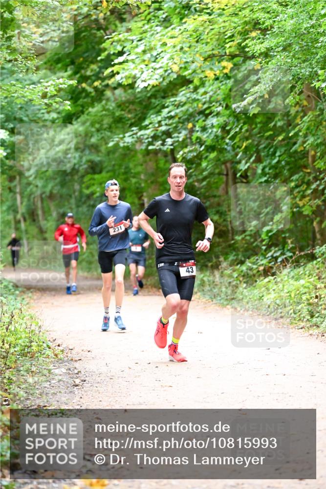 11.10.2026 - Bramfelder Halbmarathon 2026 Dr. Thomas Lammeyer http://msf.ph/oto/10815993 11.10.2026 09:50:38 Laufen 231, 43 meine-sportfotos.de