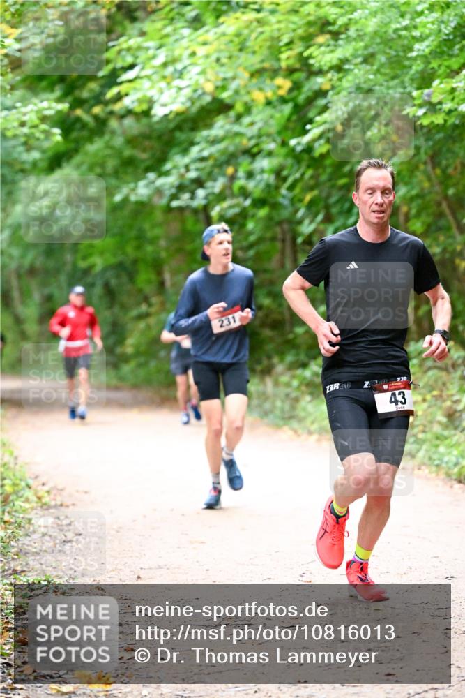 11.10.2026 - Bramfelder Halbmarathon 2026 Dr. Thomas Lammeyer http://msf.ph/oto/10816013 11.10.2026 09:50:40 Laufen 231, 7, 780, 730, 43 meine-sportfotos.de