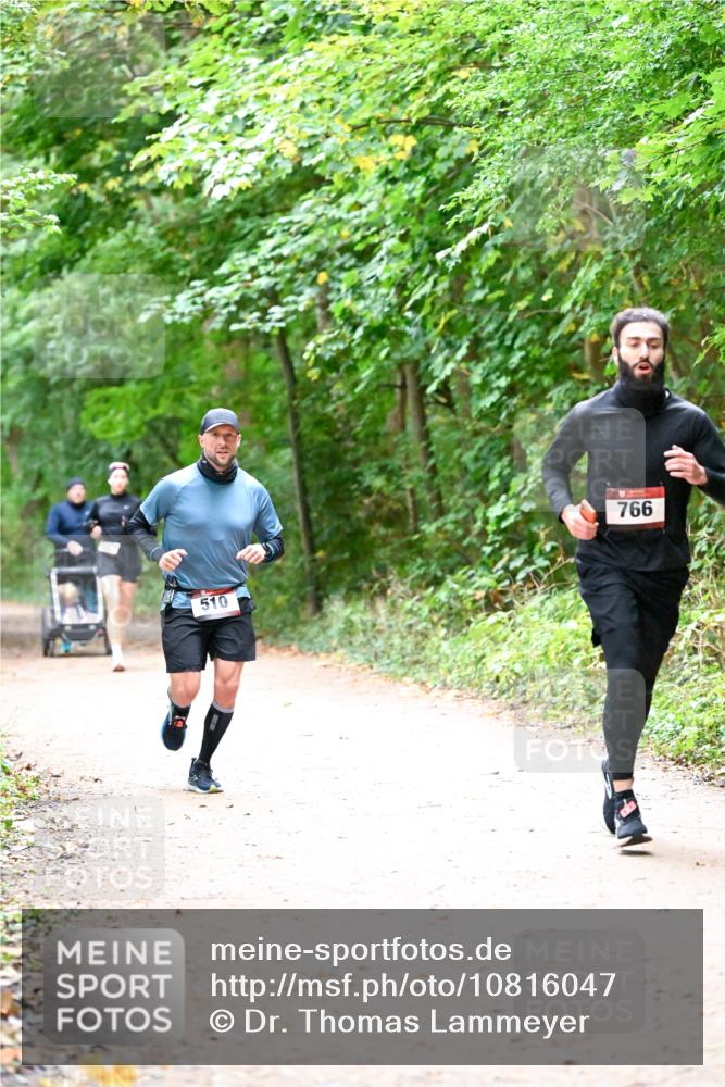 11.10.2026 - Bramfelder Halbmarathon 2026 Dr. Thomas Lammeyer http://msf.ph/oto/10816047 11.10.2026 09:50:54 Laufen 510, 766 meine-sportfotos.de