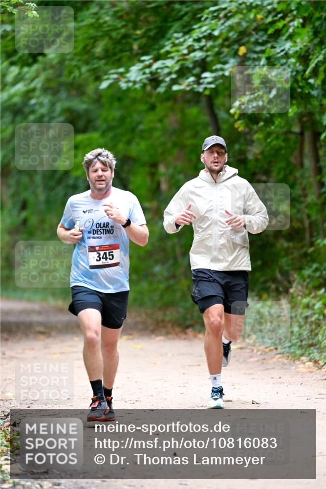 11.10.2026 - Bramfelder Halbmarathon 2026 Dr. Thomas Lammeyer http://msf.ph/oto/10816083 11.10.2026 09:51:05 Laufen 21, 345 meine-sportfotos.de