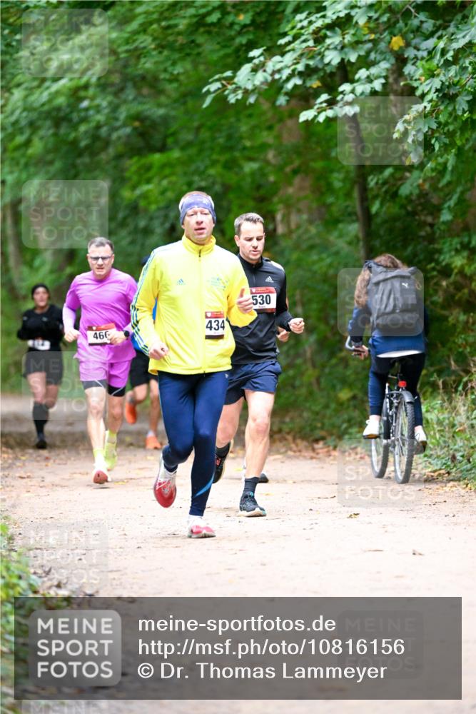 11.10.2026 - Bramfelder Halbmarathon 2026 Dr. Thomas Lammeyer http://msf.ph/oto/10816156 11.10.2026 09:51:54 Laufen 434, 466, 530 meine-sportfotos.de