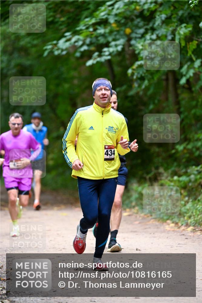 11.10.2026 - Bramfelder Halbmarathon 2026 Dr. Thomas Lammeyer http://msf.ph/oto/10816165 11.10.2026 09:51:55 Laufen 36, 434 meine-sportfotos.de