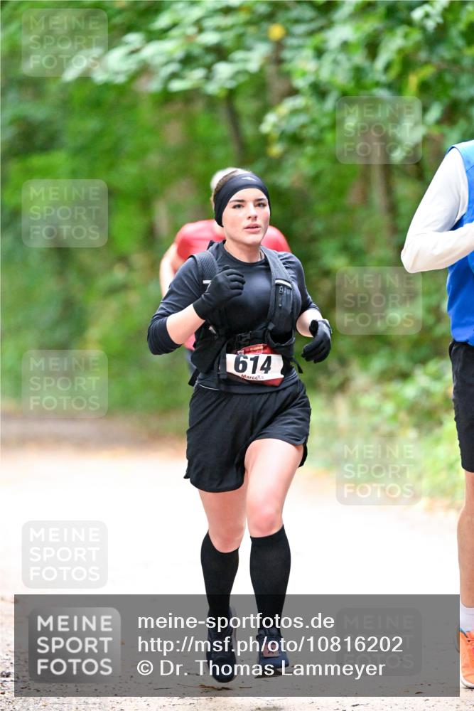 11.10.2026 - Bramfelder Halbmarathon 2026 Dr. Thomas Lammeyer http://msf.ph/oto/10816202 11.10.2026 09:52:01 Laufen 614 meine-sportfotos.de