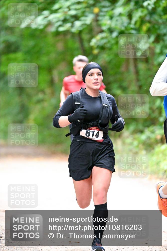 11.10.2026 - Bramfelder Halbmarathon 2026 Dr. Thomas Lammeyer http://msf.ph/oto/10816203 11.10.2026 09:52:01 Laufen 614 meine-sportfotos.de