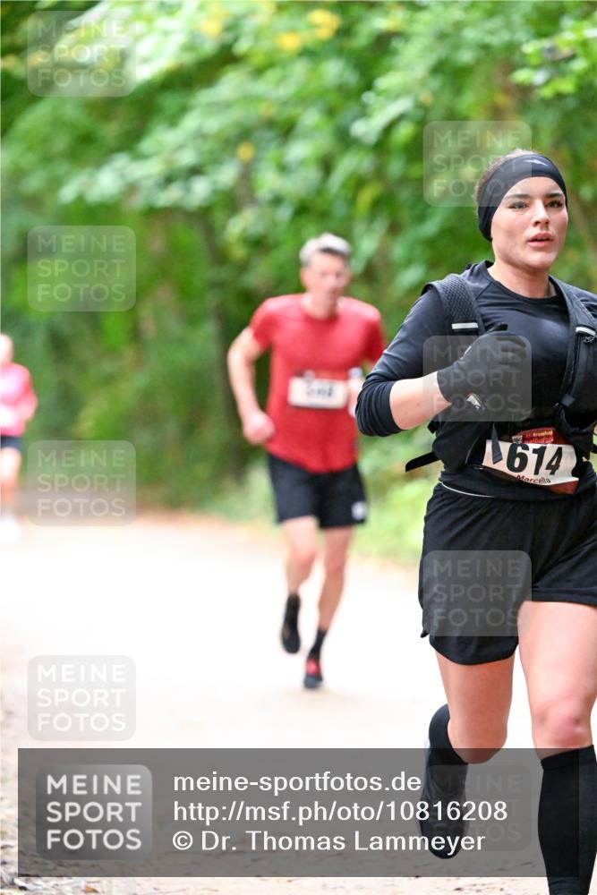 11.10.2026 - Bramfelder Halbmarathon 2026 Dr. Thomas Lammeyer http://msf.ph/oto/10816208 11.10.2026 09:52:03 Laufen 35, 614 meine-sportfotos.de