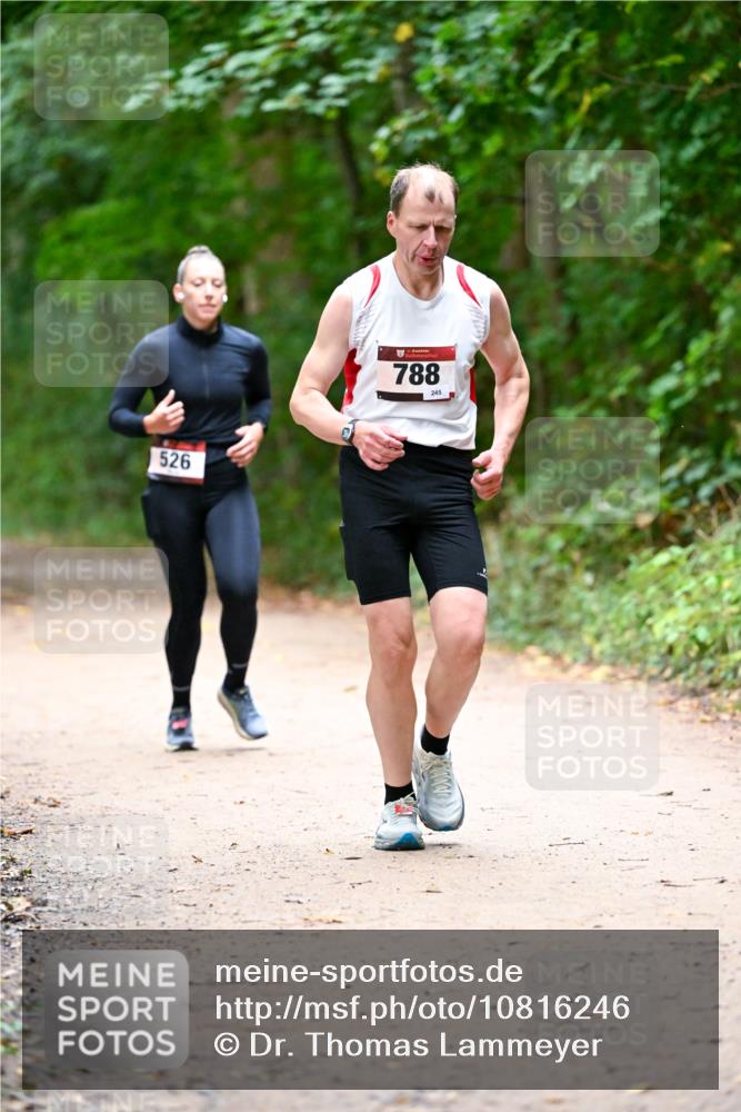 11.10.2026 - Bramfelder Halbmarathon 2026 Dr. Thomas Lammeyer http://msf.ph/oto/10816246 11.10.2026 09:52:10 Laufen 526, 788, 245 meine-sportfotos.de