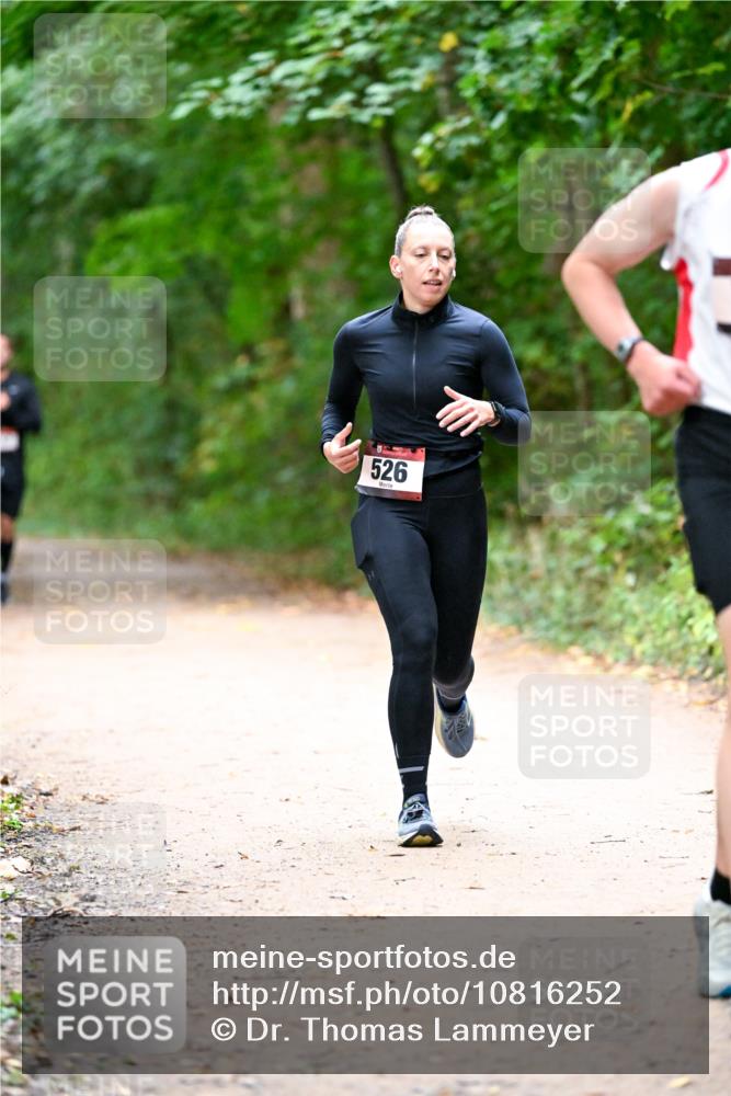 11.10.2026 - Bramfelder Halbmarathon 2026 Dr. Thomas Lammeyer http://msf.ph/oto/10816252 11.10.2026 09:52:11 Laufen 526 meine-sportfotos.de