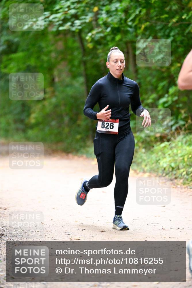 11.10.2026 - Bramfelder Halbmarathon 2026 Dr. Thomas Lammeyer http://msf.ph/oto/10816255 11.10.2026 09:52:12 Laufen 526 meine-sportfotos.de