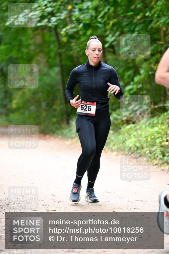 11.10.2026 - Bramfelder Halbmarathon 2026 Dr. Thomas Lammeyer http://msf.ph/oto/10816256 11.10.2026 09:52:12 Laufen 526 meine-sportfotos.de