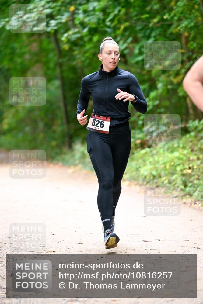 11.10.2026 - Bramfelder Halbmarathon 2026 Dr. Thomas Lammeyer http://msf.ph/oto/10816257 11.10.2026 09:52:12 Laufen 526 meine-sportfotos.de