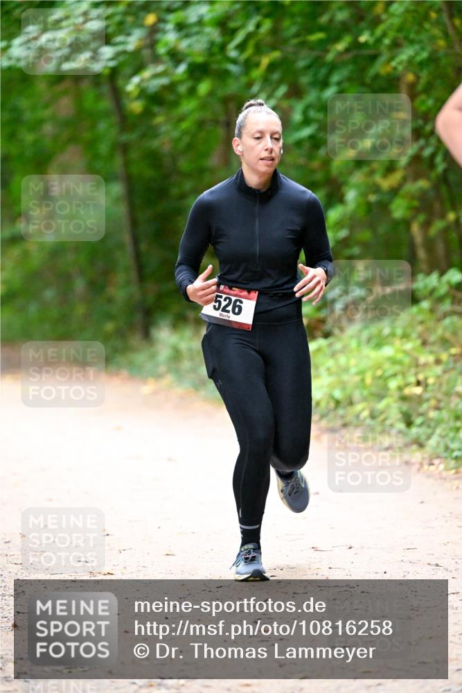 11.10.2026 - Bramfelder Halbmarathon 2026 Dr. Thomas Lammeyer http://msf.ph/oto/10816258 11.10.2026 09:52:12 Laufen 526 meine-sportfotos.de