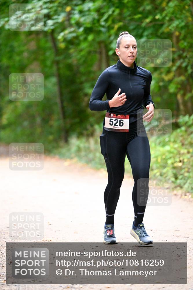 11.10.2026 - Bramfelder Halbmarathon 2026 Dr. Thomas Lammeyer http://msf.ph/oto/10816259 11.10.2026 09:52:12 Laufen 526 meine-sportfotos.de