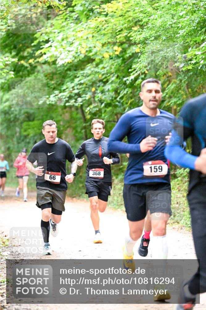 11.10.2026 - Bramfelder Halbmarathon 2026 Dr. Thomas Lammeyer http://msf.ph/oto/10816294 11.10.2026 09:52:29 Laufen 66, 368, 159 meine-sportfotos.de