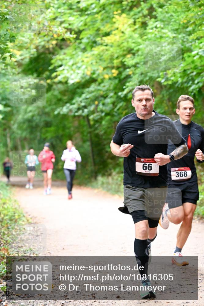 11.10.2026 - Bramfelder Halbmarathon 2026 Dr. Thomas Lammeyer http://msf.ph/oto/10816305 11.10.2026 09:52:32 Laufen 66, 368 meine-sportfotos.de