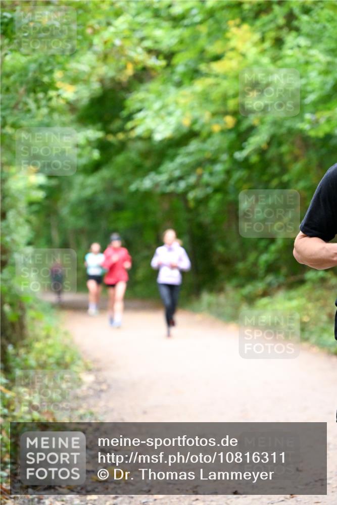 11.10.2026 - Bramfelder Halbmarathon 2026 Dr. Thomas Lammeyer http://msf.ph/oto/10816311 11.10.2026 09:52:32 Laufen  meine-sportfotos.de