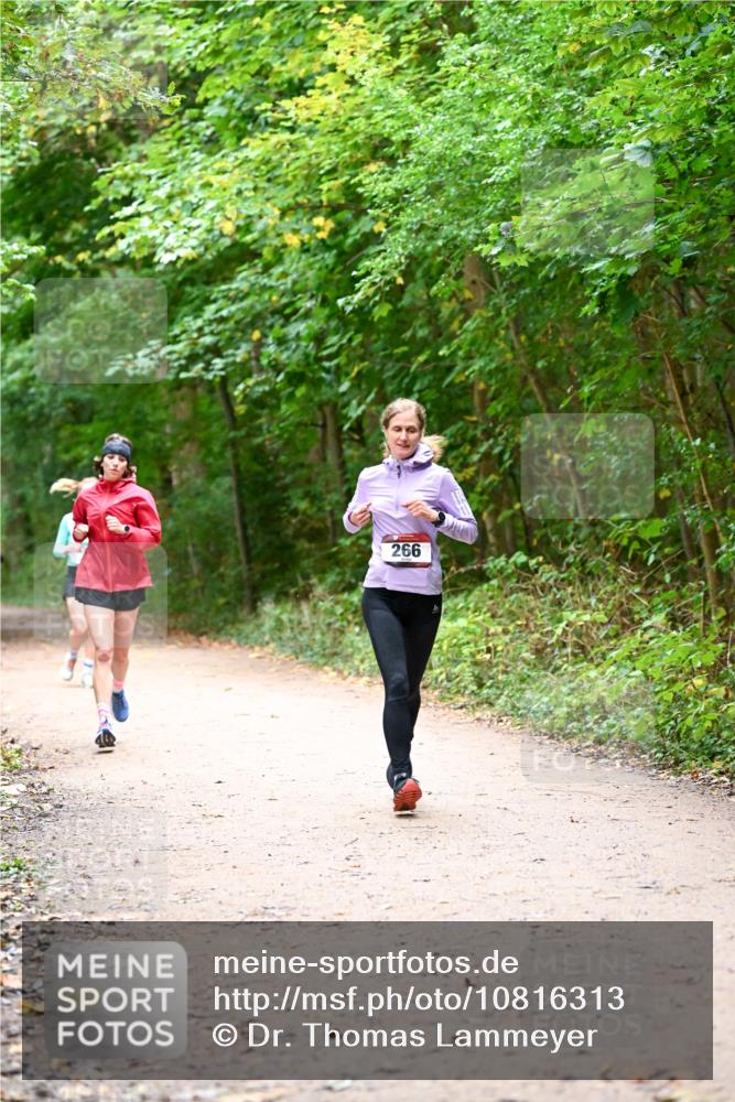 11.10.2026 - Bramfelder Halbmarathon 2026 Dr. Thomas Lammeyer http://msf.ph/oto/10816313 11.10.2026 09:52:35 Laufen 266 meine-sportfotos.de