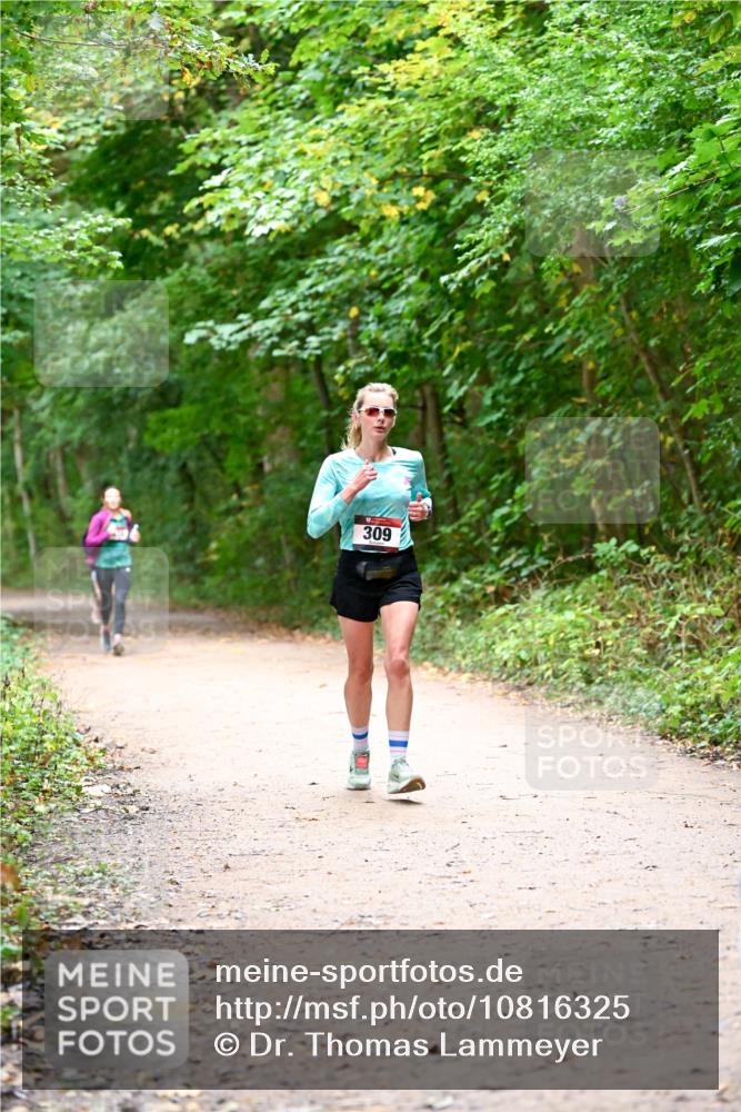 11.10.2026 - Bramfelder Halbmarathon 2026 Dr. Thomas Lammeyer http://msf.ph/oto/10816325 11.10.2026 09:52:38 Laufen 309 meine-sportfotos.de