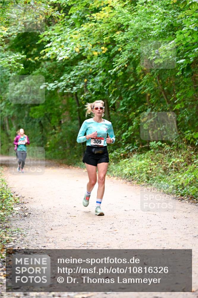 11.10.2026 - Bramfelder Halbmarathon 2026 Dr. Thomas Lammeyer http://msf.ph/oto/10816326 11.10.2026 09:52:38 Laufen 309 meine-sportfotos.de