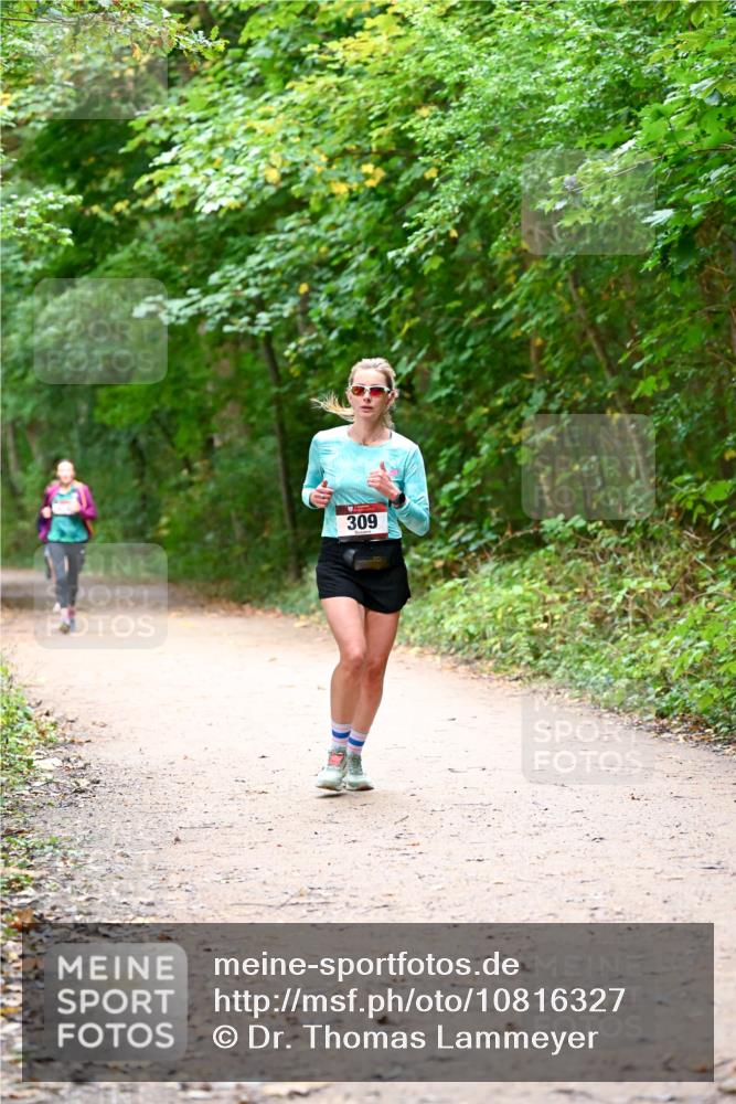 11.10.2026 - Bramfelder Halbmarathon 2026 Dr. Thomas Lammeyer http://msf.ph/oto/10816327 11.10.2026 09:52:39 Laufen 309 meine-sportfotos.de