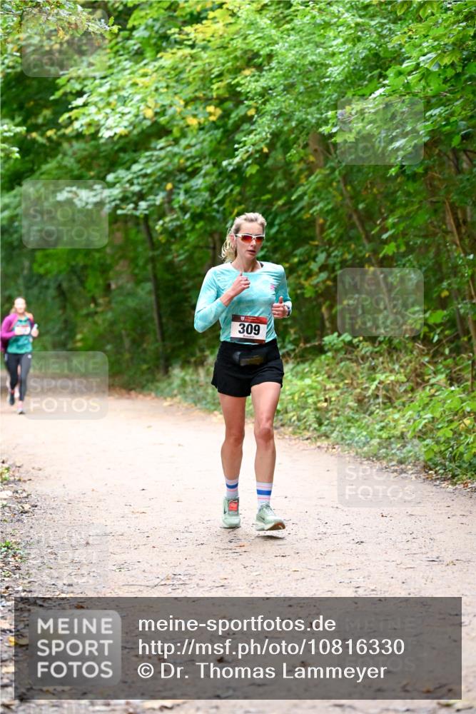 11.10.2026 - Bramfelder Halbmarathon 2026 Dr. Thomas Lammeyer http://msf.ph/oto/10816330 11.10.2026 09:52:39 Laufen 309 meine-sportfotos.de