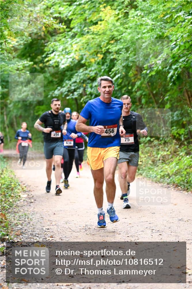11.10.2026 - Bramfelder Halbmarathon 2026 Dr. Thomas Lammeyer http://msf.ph/oto/10816512 11.10.2026 09:53:26 Laufen 254, 636, 456, 75 meine-sportfotos.de