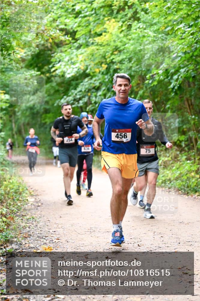 11.10.2026 - Bramfelder Halbmarathon 2026 Dr. Thomas Lammeyer http://msf.ph/oto/10816515 11.10.2026 09:53:26 Laufen 254, 636, 456, 288, 5, 75 meine-sportfotos.de