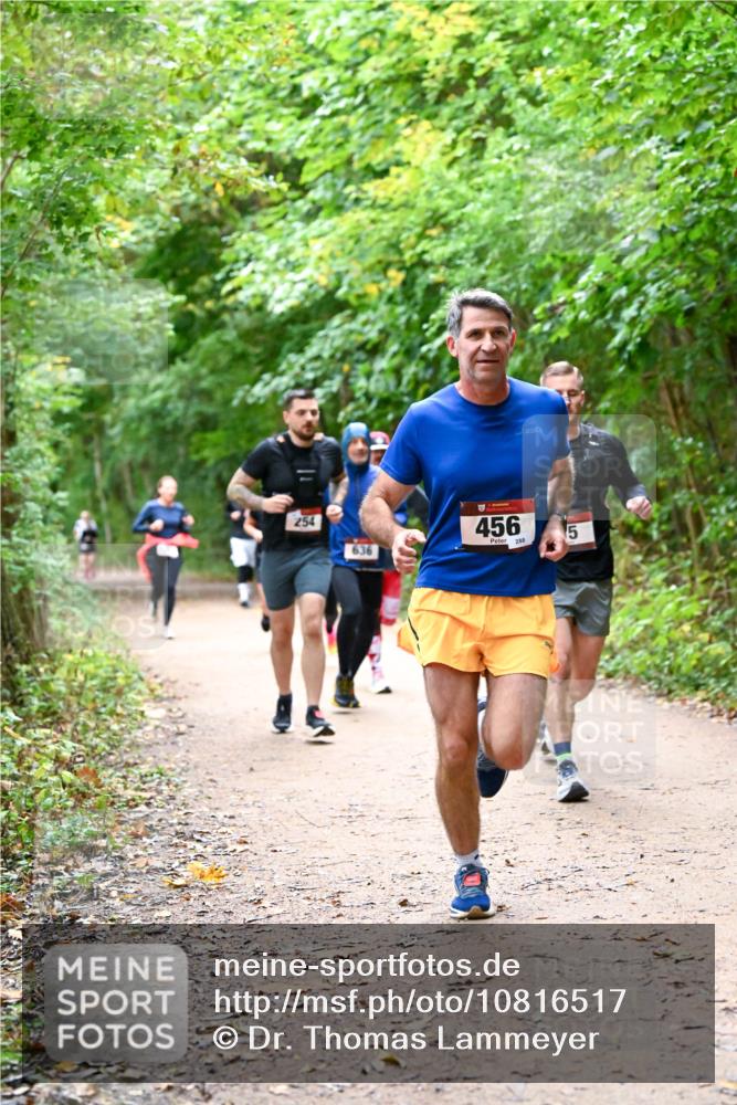 11.10.2026 - Bramfelder Halbmarathon 2026 Dr. Thomas Lammeyer http://msf.ph/oto/10816517 11.10.2026 09:53:26 Laufen 254, 636, 456, 288, 5 meine-sportfotos.de