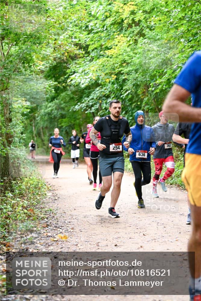 11.10.2026 - Bramfelder Halbmarathon 2026 Dr. Thomas Lammeyer http://msf.ph/oto/10816521 11.10.2026 09:53:27 Laufen 121, 254, 636, 362 meine-sportfotos.de