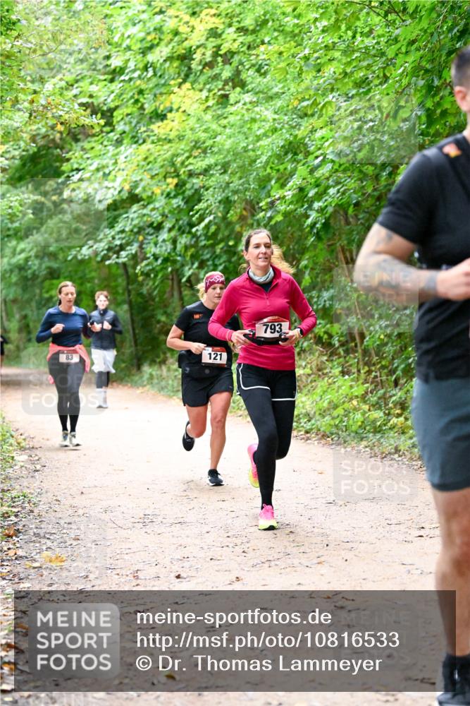 11.10.2026 - Bramfelder Halbmarathon 2026 Dr. Thomas Lammeyer http://msf.ph/oto/10816533 11.10.2026 09:53:29 Laufen 83, 121, 793 meine-sportfotos.de
