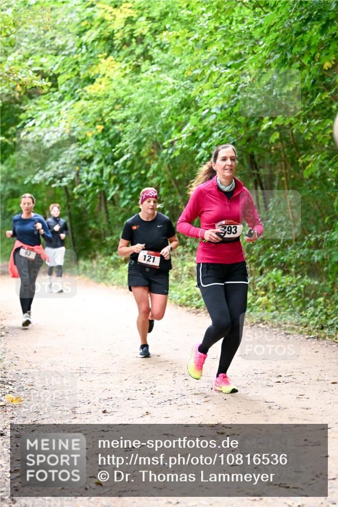 11.10.2026 - Bramfelder Halbmarathon 2026 Dr. Thomas Lammeyer http://msf.ph/oto/10816536 11.10.2026 09:53:29 Laufen 83, 121, 393 meine-sportfotos.de