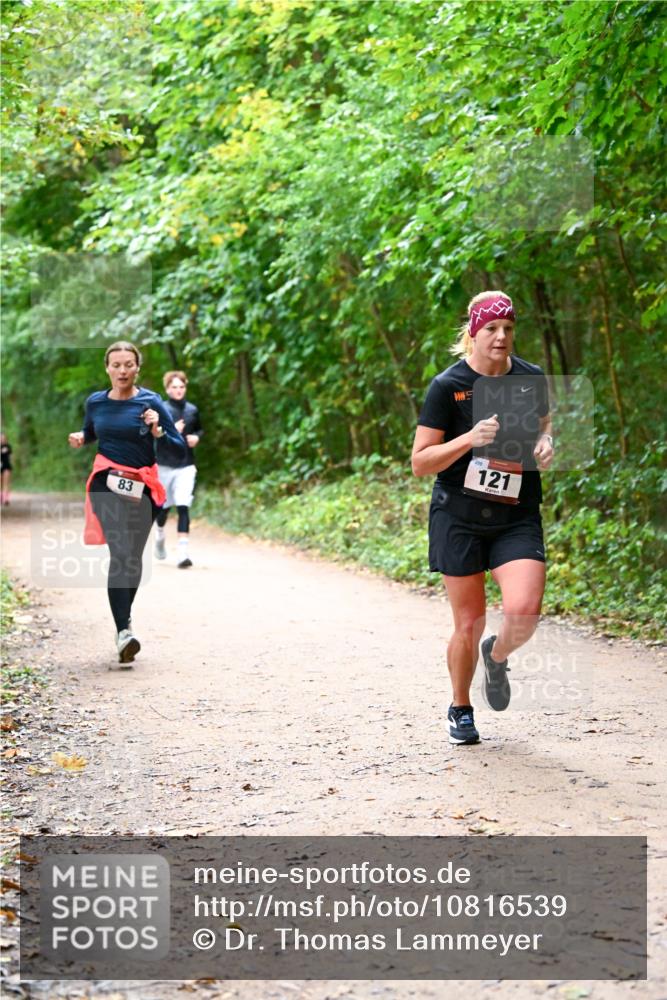 11.10.2026 - Bramfelder Halbmarathon 2026 Dr. Thomas Lammeyer http://msf.ph/oto/10816539 11.10.2026 09:53:30 Laufen 83, 298, 121 meine-sportfotos.de