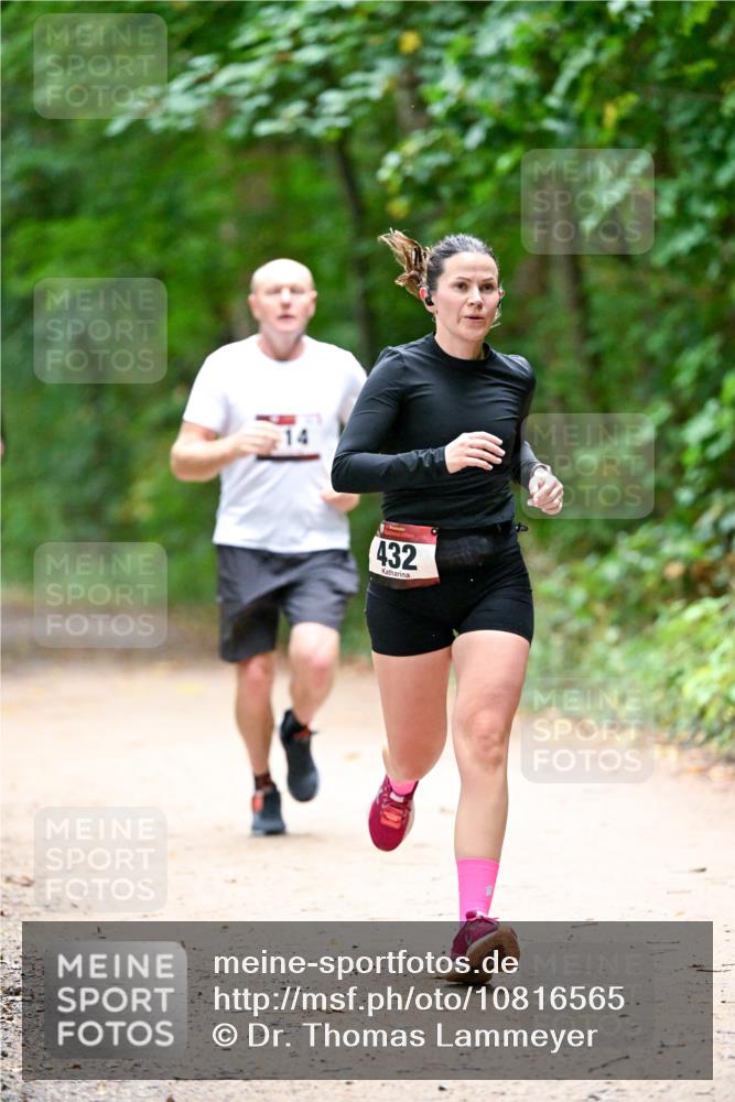 11.10.2026 - Bramfelder Halbmarathon 2026 Dr. Thomas Lammeyer http://msf.ph/oto/10816565 11.10.2026 09:53:40 Laufen 432 meine-sportfotos.de