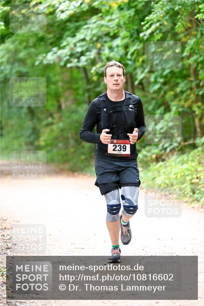 11.10.2026 - Bramfelder Halbmarathon 2026 Dr. Thomas Lammeyer http://msf.ph/oto/10816602 11.10.2026 09:53:47 Laufen 239 meine-sportfotos.de